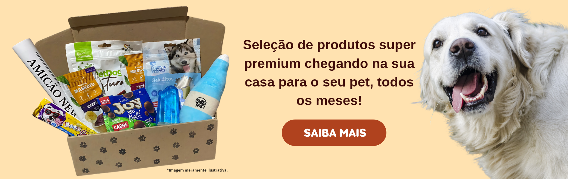 Banner para site_20250207_093147_0000